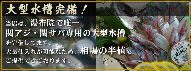 大型水槽完成しました!